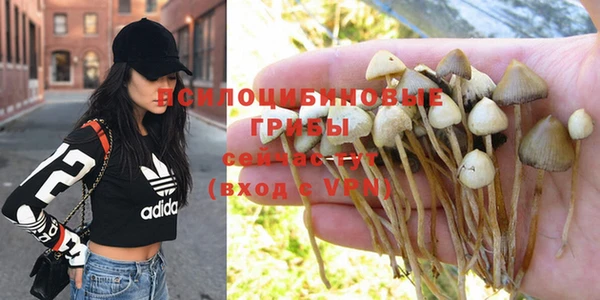 ешки Покров