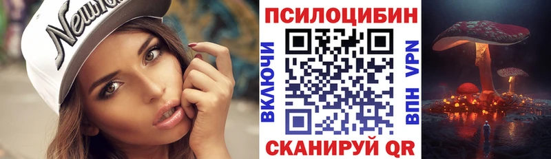 OMG онион  закладка  Ростов  Псилоцибиновые грибы GOLDEN TEACHER 